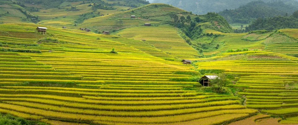 Kho gạo của Vũ Long Khánh Hà